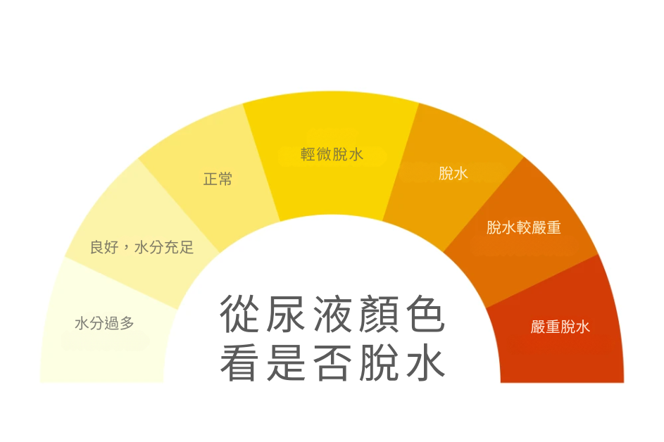 尿液顏色看脫水